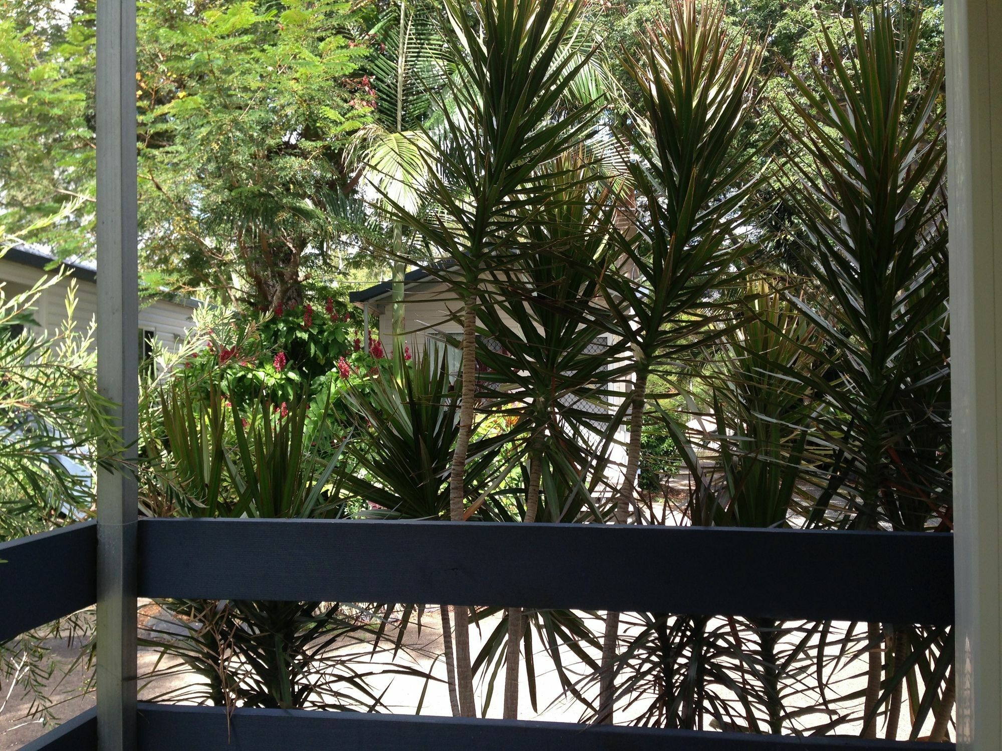 Riverside Tourist Park Rockhampton Exterior foto
