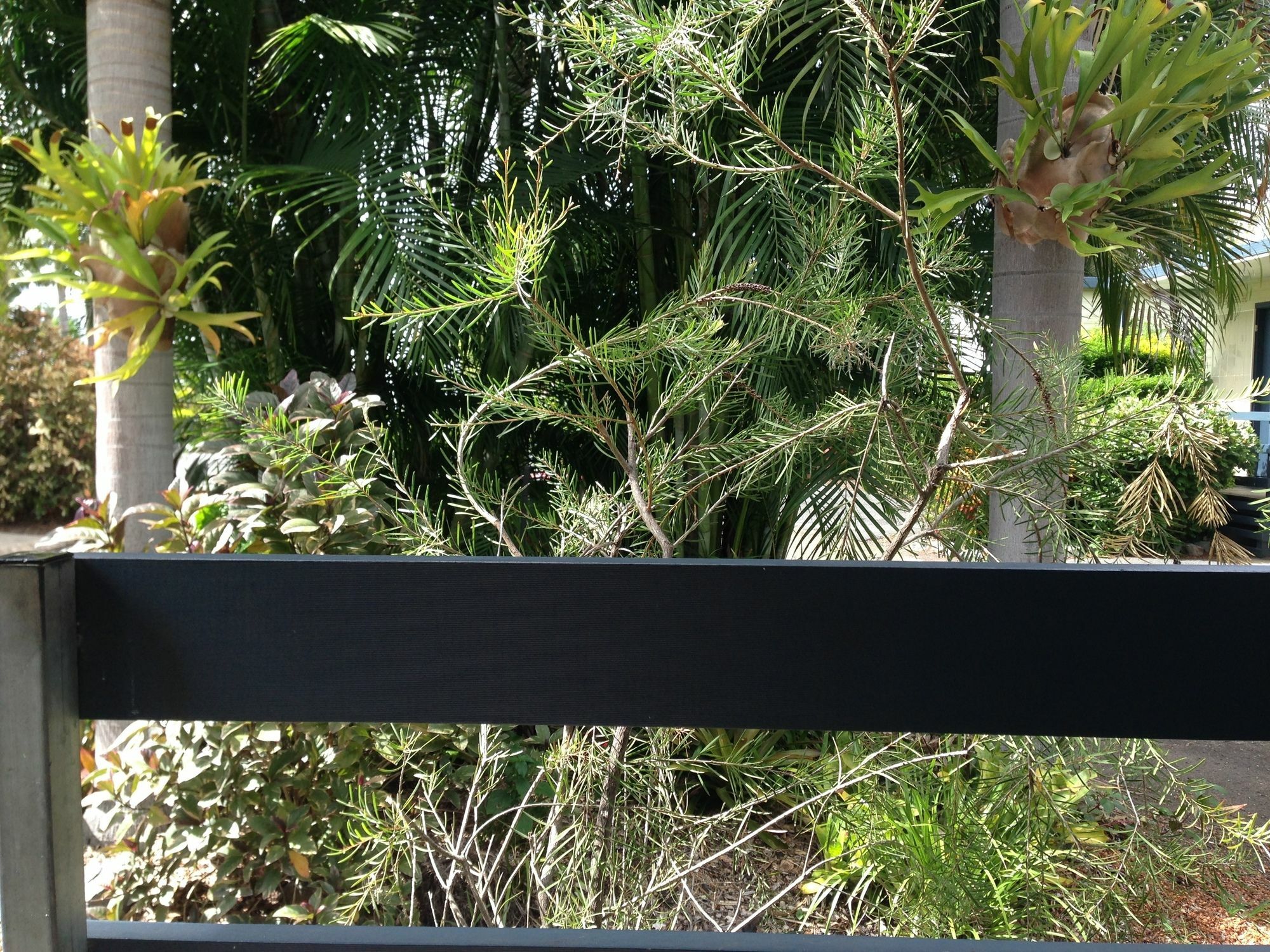 Riverside Tourist Park Rockhampton Exterior foto
