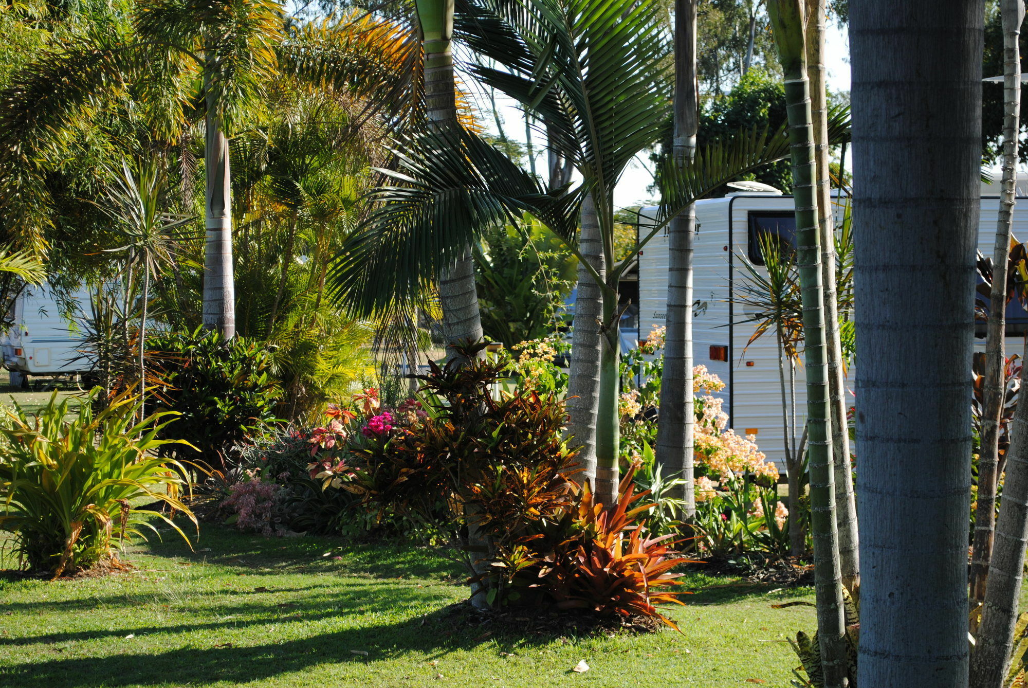 Riverside Tourist Park Rockhampton Exterior foto